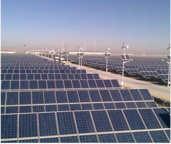 ���Ƹ�ľ����l�վ